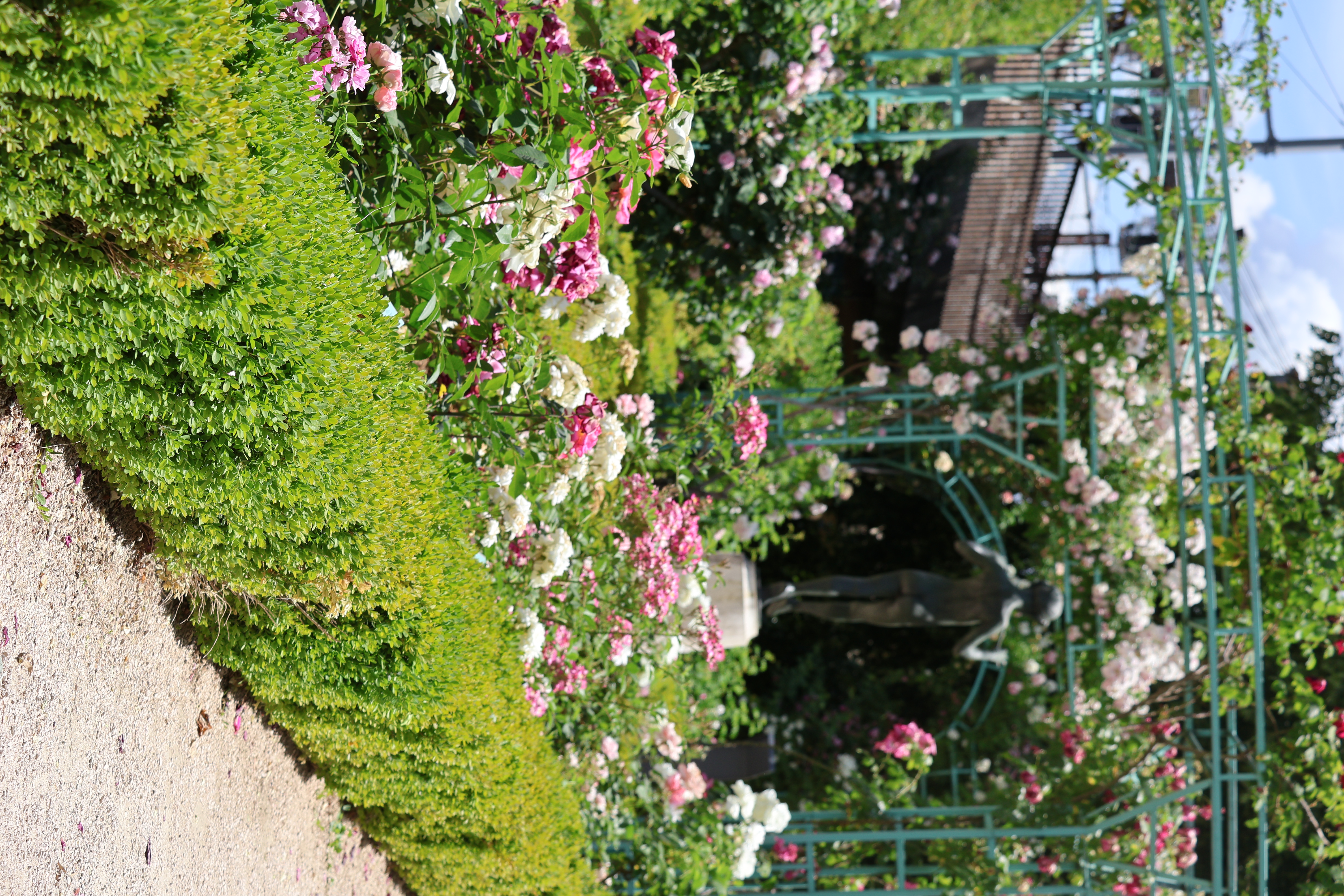Photo 07