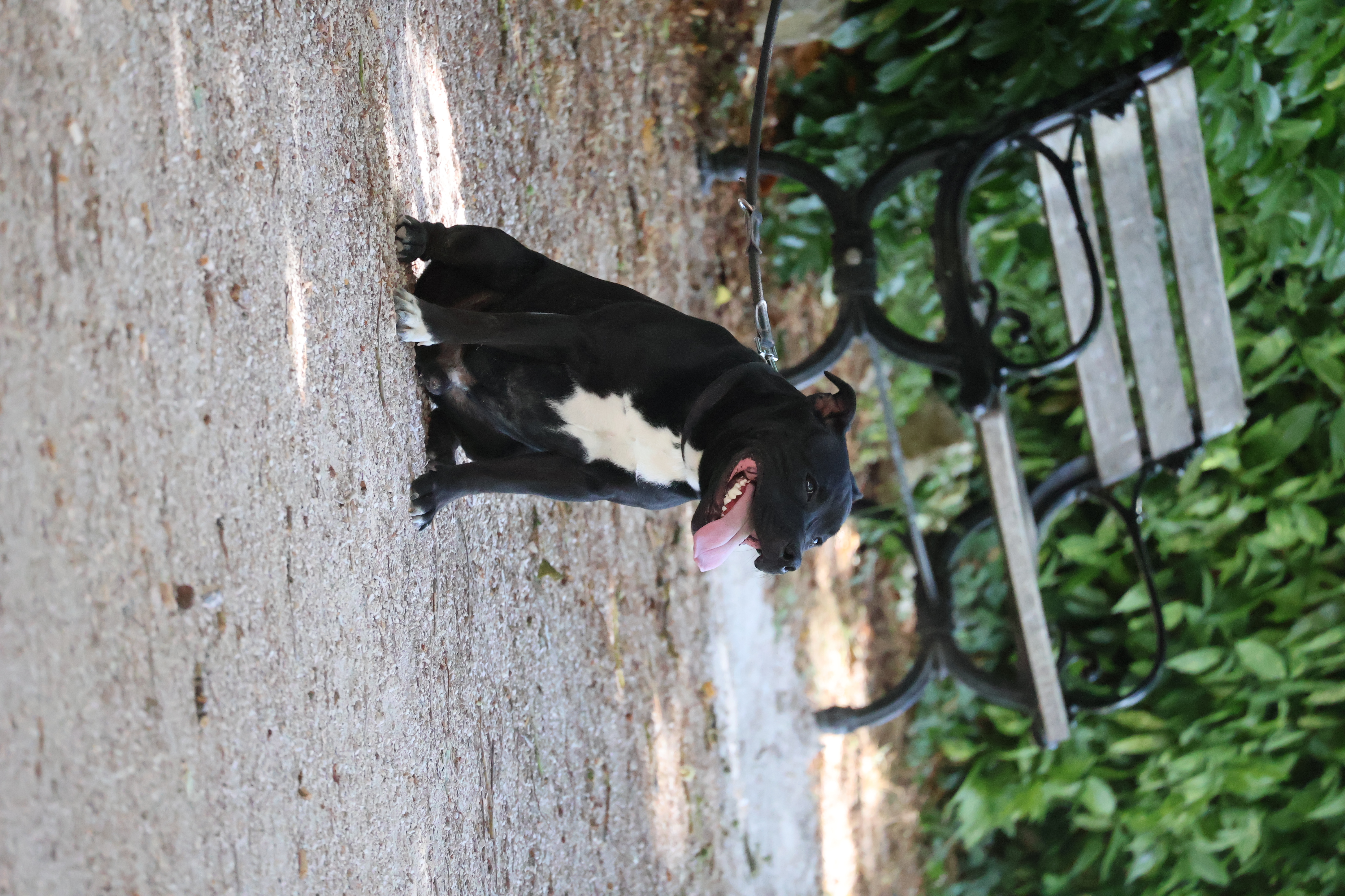 Photo 08